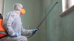 Best Asbestos and Lead Testing During Mold Inspection  in Downs, IL